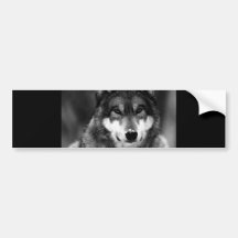 Schwarzer u. weißer Wolf Autosticker