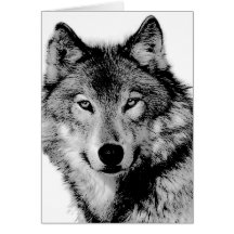 Schwarzer u. weißer Wolf Grußkarte