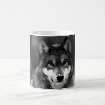 Schwarzer u. weißer Wolf Tee Haferl