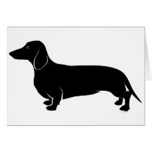 Schwarzes auf weißem Dachsund Grußkarte