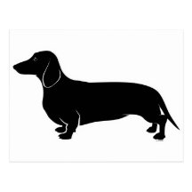Schwarzes auf weißem Dachsund Postkarte