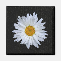 Schwarzes französisches Skript u. Gänseblümchen -  Kühlschrankmagnet