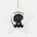 Schwarzes Labradoodle IAAM Ornament