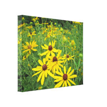 Schwarzes mit Augen Susans Gespannter Galerie Druck