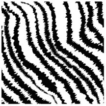 Schwarzes Zebra-Druck-Muster Foto Ausschnitt