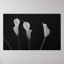 Schwarzweiss-Blumen-Plakat