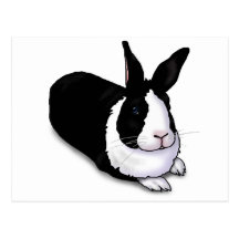 Schwarzweiss-Kaninchen Postkarten