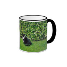 Schwarzweiss-Katze Tee Tasse