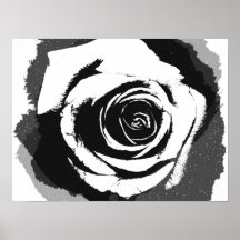 Schwarzweiss-Rosengraphik Posterdruck