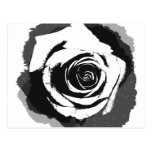 Schwarzweiss-Rosengraphik Postkarte