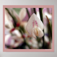 Schwebender Heuchera-weiße u. lila Blumen Plakat