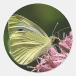 Schwefel-Schmetterling Runde Aufkleber