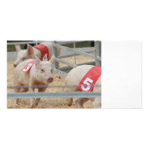 Schwein, das rosa Ferkel Nr. drei läuft Fotokarten