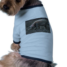 Schwein Hund Tshirts