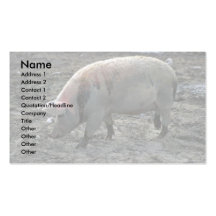 Schwein Visitenkartenvorlage