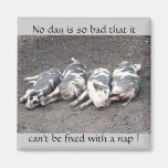 Schweinschlafen Kühlschrankmagnet