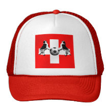 Schweizer Fußballflagge Bernhardiners von die Schw Truckercap