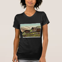 Schweizer Wohnung, Murren, Bernese Oberland, Switz Tshirt