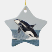Schwertwal-Bruch-Verzierung 2 Weihnachtsbaum Ornament