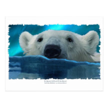 SCHWIMMEN-EISBÄR POSTKARTEN