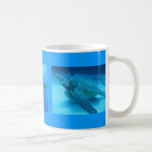 Schwimmen mit Meeresschildkröten in Hawaii-Becher Teetassen