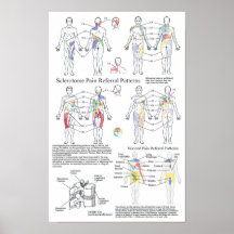 Sclerotome viszerales Schmerz-Empfehlungs-Diagramm Plakat