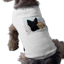 Scottish Terrier u. Yorkie beste Freunde Hundbekleidung