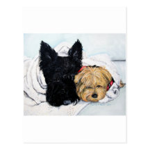 Scottish Terrier u. Yorkie beste Freunde Postkarte