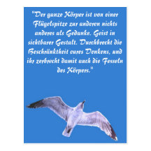 Seagull Postkarten