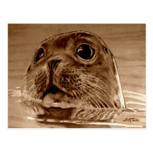 SEAL-Northsea Postkarte