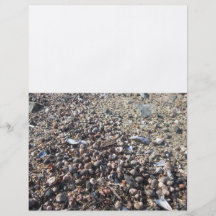 Seashell-Strand-Ozean-Internatsschüler-Buch der Sc Flyer Druck