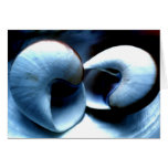 Seashells Karten