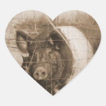 Sechzigerjahre Schwein Herzaufkleber