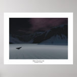 Seclusion Plakate