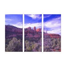 Sedona Gebirgspfade zum Kathedralen-Felsen Leinwand Drucke