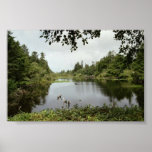 See-Druck Plakatdruck