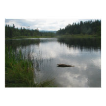 See Padden Stille Ankündigungskarten