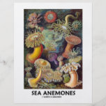 Seeanemonen Personalisierte Flyer