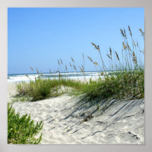 Seehafer bei Ocracoke Plakat