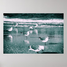 Seemöven Clearwater Florida Poster