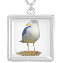 Seemöwe erhielt sein Auge auf Ihnen Schmuck