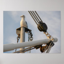 Seemöwe in der Takelung auf einem Boot Posterdrucke