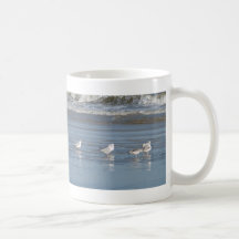Seemöwe-Reflexionen Kaffeehaferl