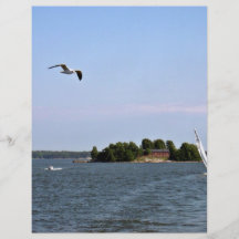 Seemöwe über Ozean Flyer