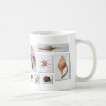 SeeMuschel-Becher Kaffeehaferl