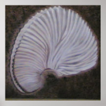 SeeMuschel-Papier Nautilius Posterdrucke