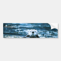 Seeotter Auto Sticker