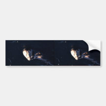 Seeotter Auto Sticker