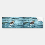 Seeotter Auto Sticker