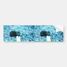 Seeotter Auto Sticker